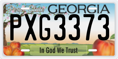 GA license plate PXG3373
