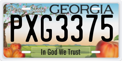 GA license plate PXG3375