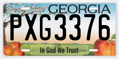 GA license plate PXG3376