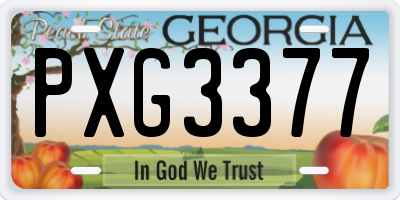 GA license plate PXG3377