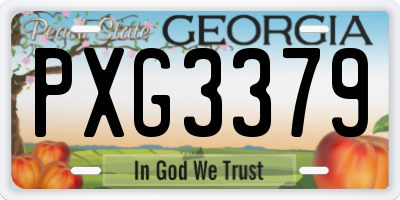 GA license plate PXG3379
