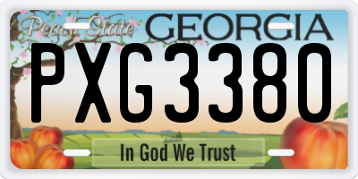 GA license plate PXG3380