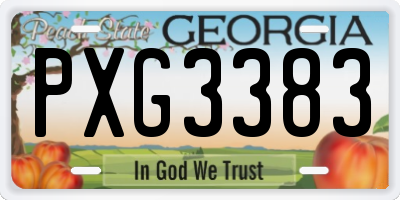 GA license plate PXG3383