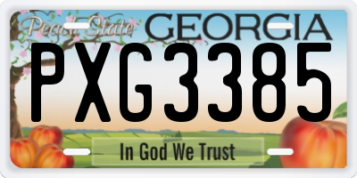 GA license plate PXG3385