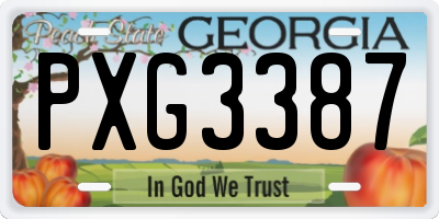 GA license plate PXG3387
