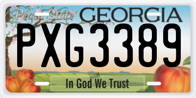 GA license plate PXG3389