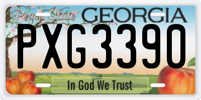 GA license plate PXG3390