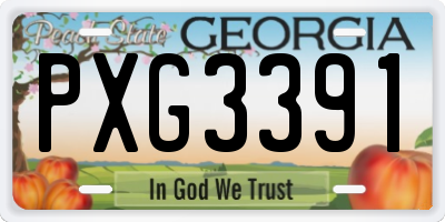 GA license plate PXG3391