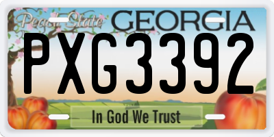 GA license plate PXG3392