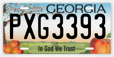 GA license plate PXG3393