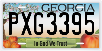 GA license plate PXG3395