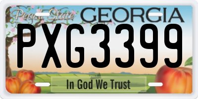 GA license plate PXG3399