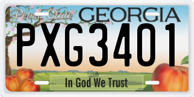 GA license plate PXG3401