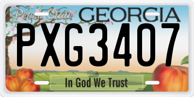 GA license plate PXG3407