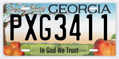 GA license plate PXG3411