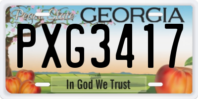 GA license plate PXG3417