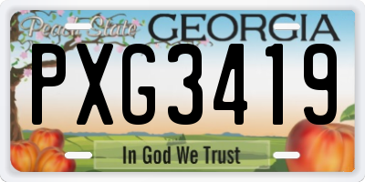 GA license plate PXG3419