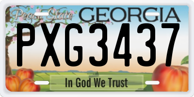 GA license plate PXG3437