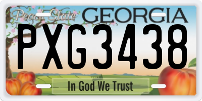 GA license plate PXG3438