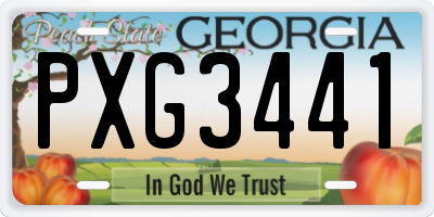 GA license plate PXG3441