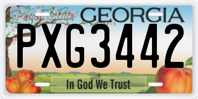 GA license plate PXG3442