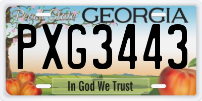GA license plate PXG3443