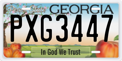 GA license plate PXG3447