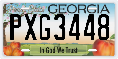 GA license plate PXG3448
