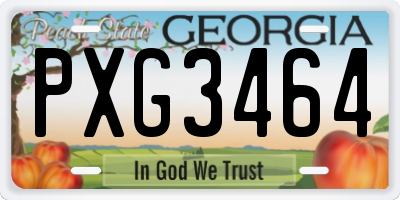 GA license plate PXG3464