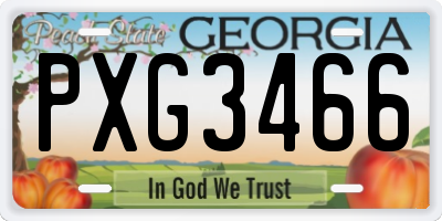 GA license plate PXG3466