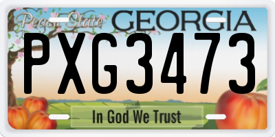 GA license plate PXG3473