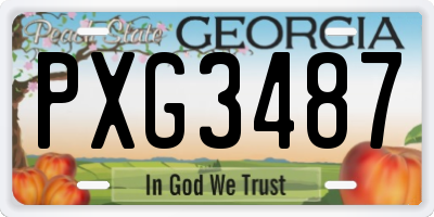 GA license plate PXG3487