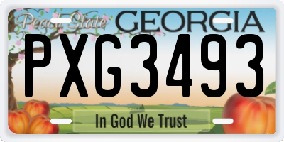 GA license plate PXG3493