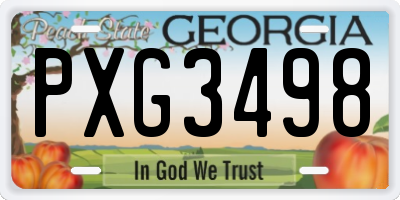 GA license plate PXG3498