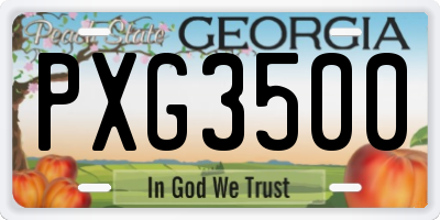 GA license plate PXG3500