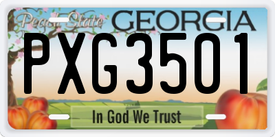 GA license plate PXG3501