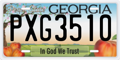 GA license plate PXG3510