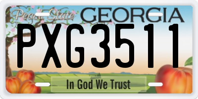 GA license plate PXG3511