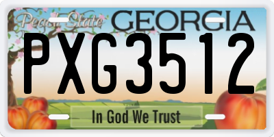 GA license plate PXG3512