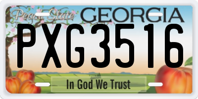 GA license plate PXG3516