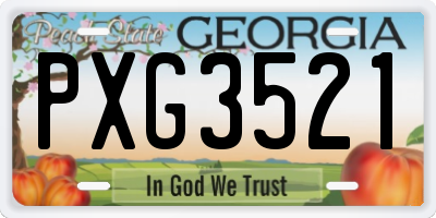 GA license plate PXG3521