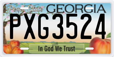 GA license plate PXG3524