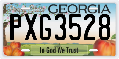 GA license plate PXG3528