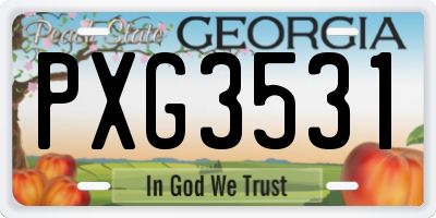 GA license plate PXG3531