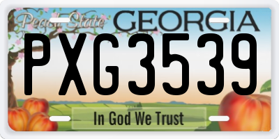 GA license plate PXG3539