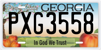GA license plate PXG3558