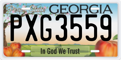 GA license plate PXG3559