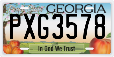 GA license plate PXG3578