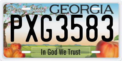 GA license plate PXG3583