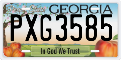 GA license plate PXG3585